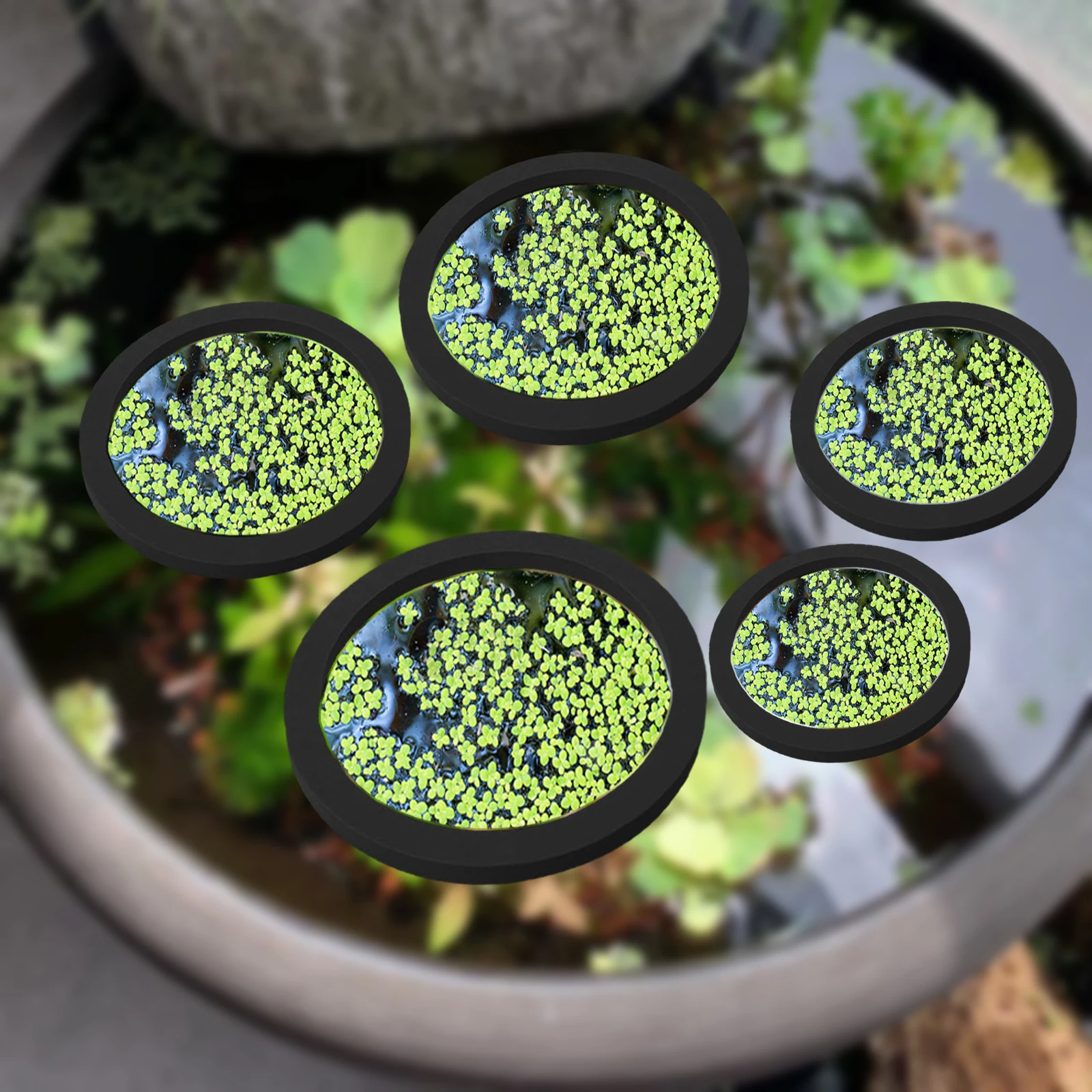 Aquarium For Planted Tank - 5Pcs EVA Pierścień do karmienia ryb