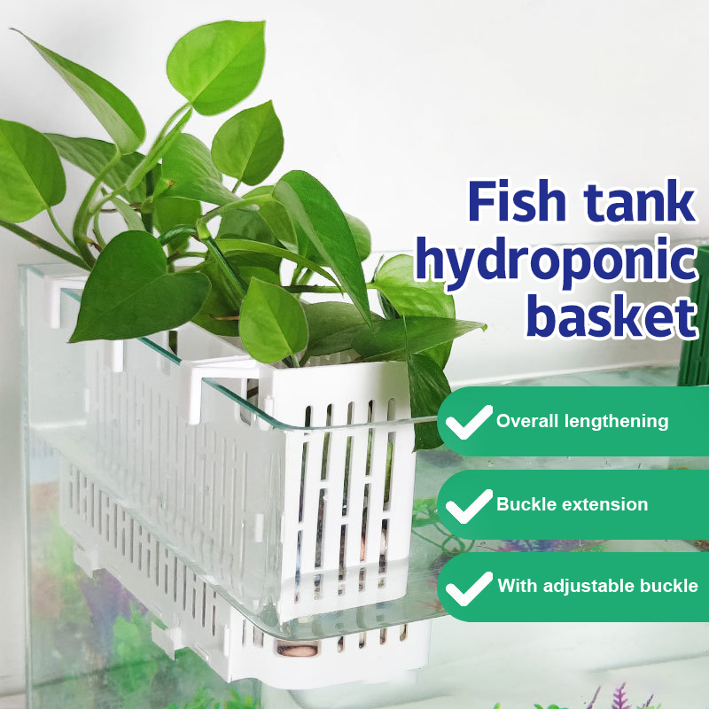 Aquarium For Planted Tank - 【F】Wiszący pojemnik do akwarium, uchwyt na