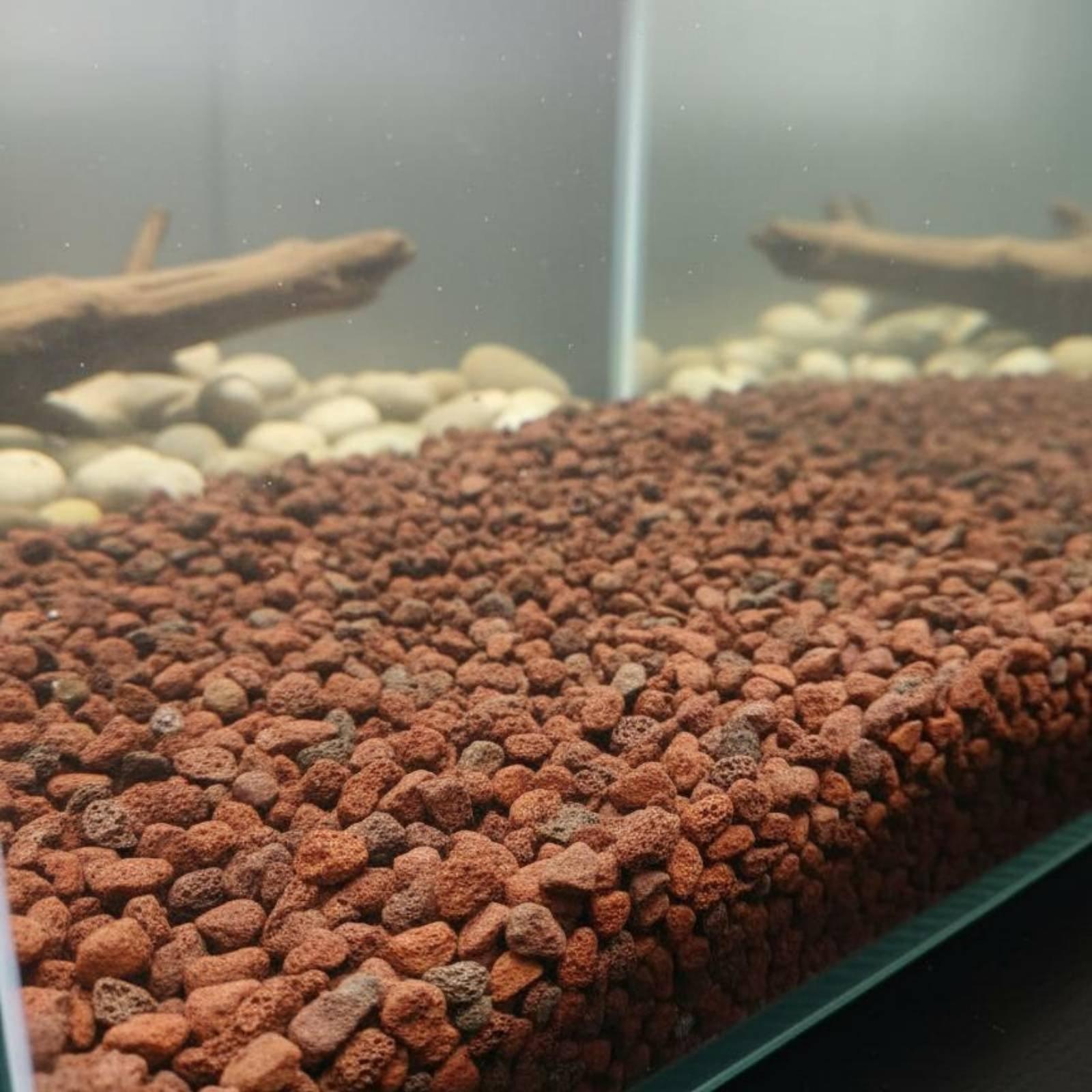 Dekoracja do akwarium z kamien – Aquarium Plant Roots recenzja i cena