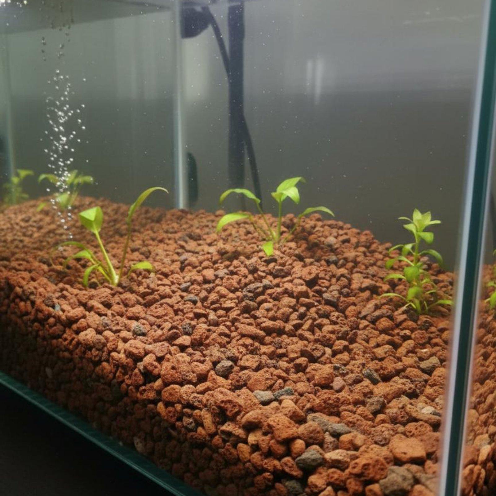 Dekoracja do akwarium z kamien – Aquarium Plant Roots recenzja i cena