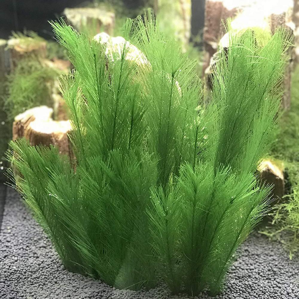 1/3 sztuk 28/40cm akwarium akw – Aquarium Plant Grass recenzja i cena