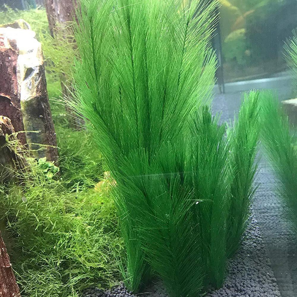 1/3 sztuk 28/40cm akwarium akw – Aquarium Plant Grass recenzja i cena