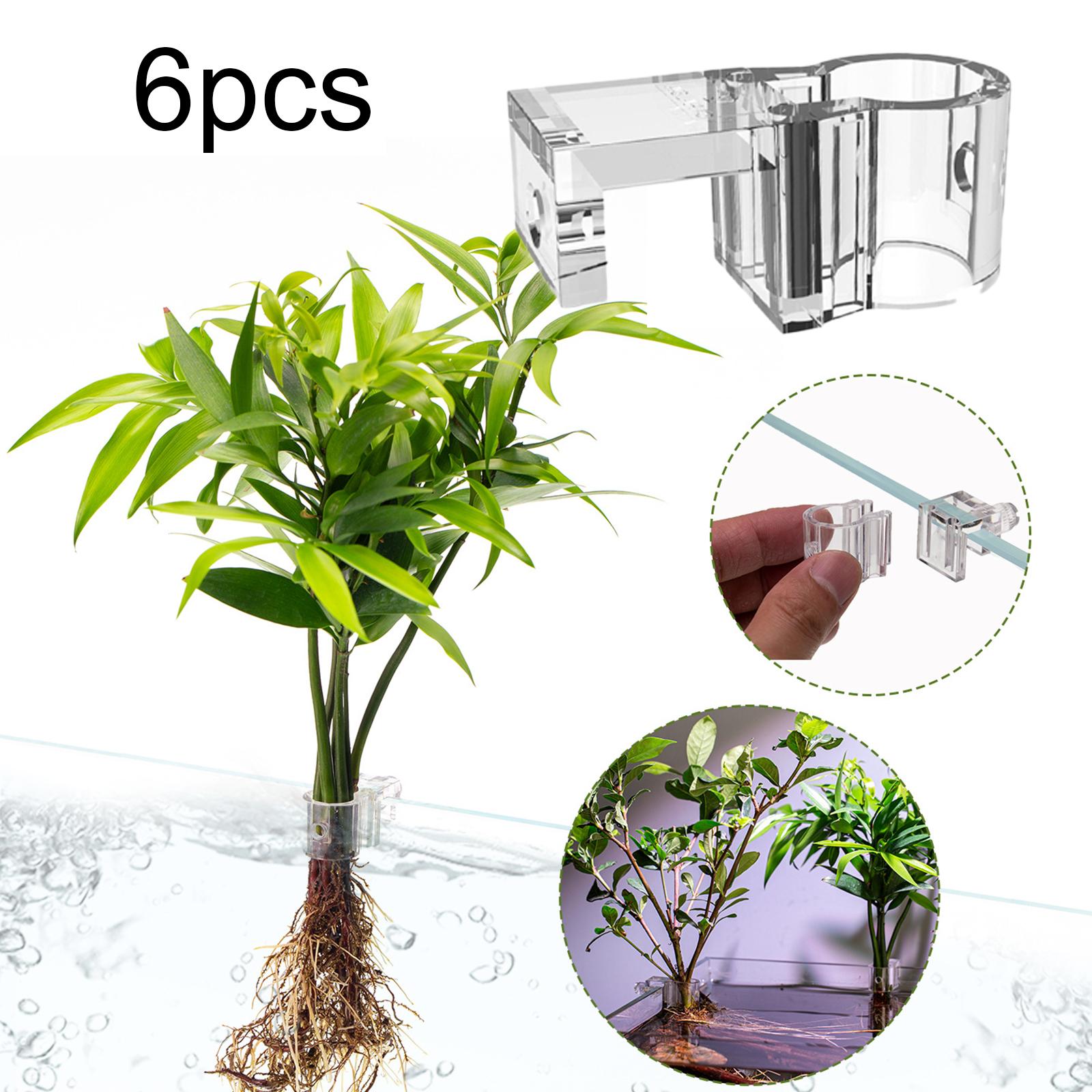 Przezroczysty uchwyt na roślin – Aquarium Planted Set Up recenzja i cena