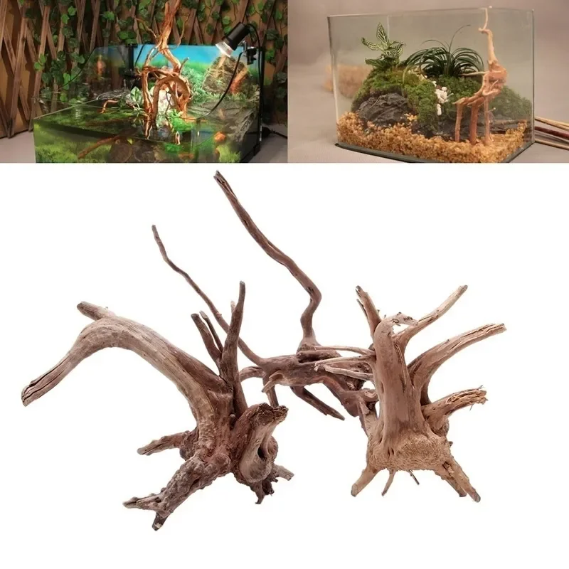 Naturalne drzewo pnia Driftwoo – Aquarium Plant Roots recenzja i cena