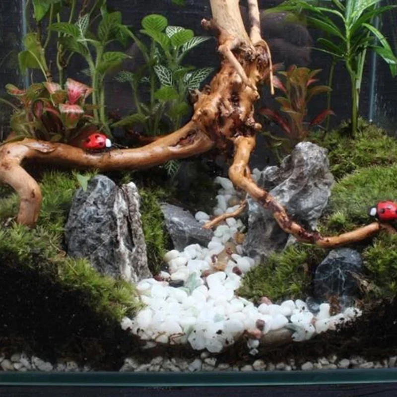 Naturalne drzewo pnia Driftwoo – Aquarium Plant Roots recenzja i cena