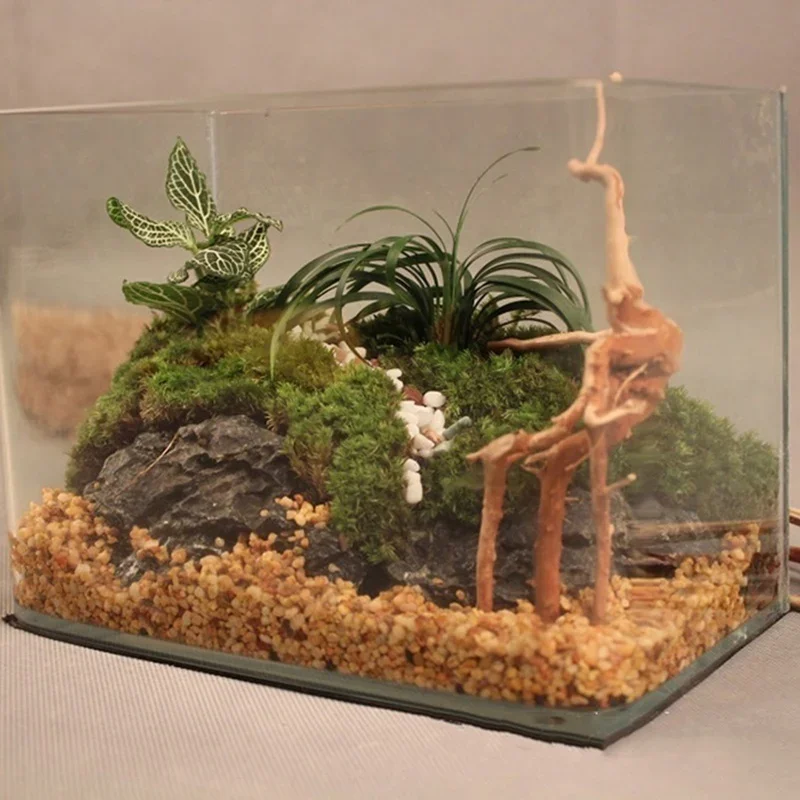 Naturalne drzewo pnia Driftwoo – Aquarium Plant Roots recenzja i cena