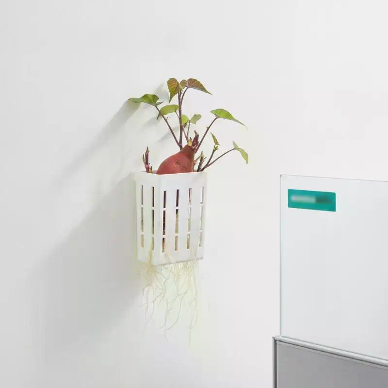 1 szt. Koszyk wspierający do h – Aquarium For Planted Tank recenzja i cena