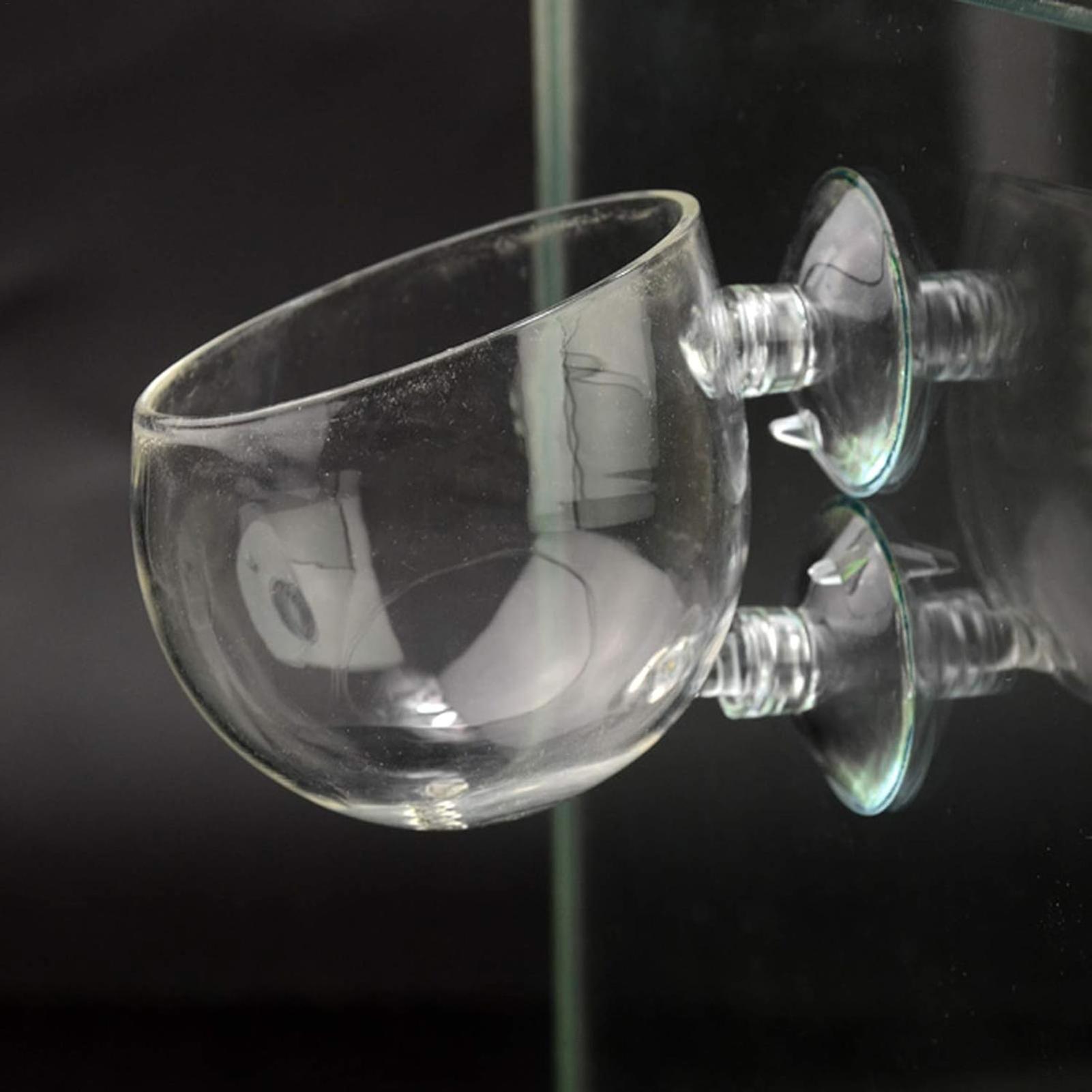 Szklany uchwyt na rośliny akwa – Planted Aquarium Equipment recenzja i cena