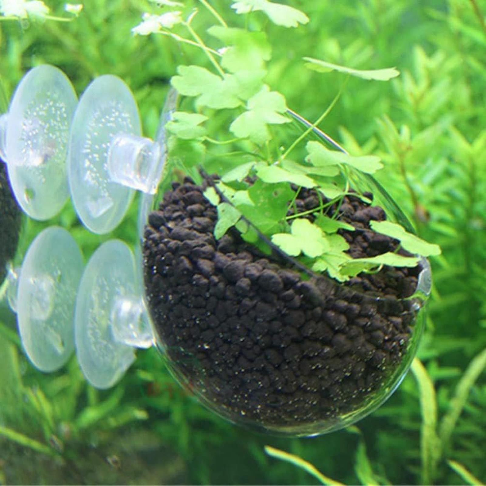 Szklany uchwyt na rośliny akwa – Planted Aquarium Equipment recenzja i cena