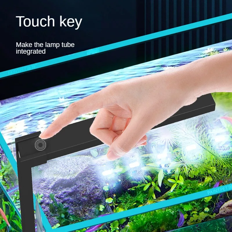 Mała lampa LED do akwarium wen – Planted Aquarium Algae recenzja i cena