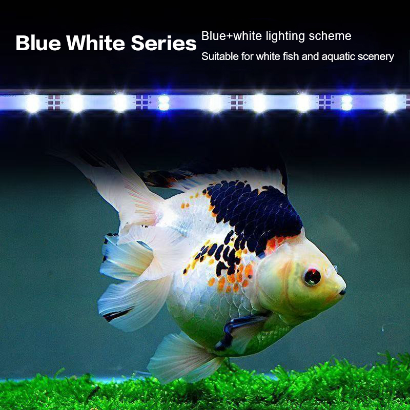 Lampa akwariowa LED z wtyczką  – Planted Aquarium Equipment recenzja i cena
