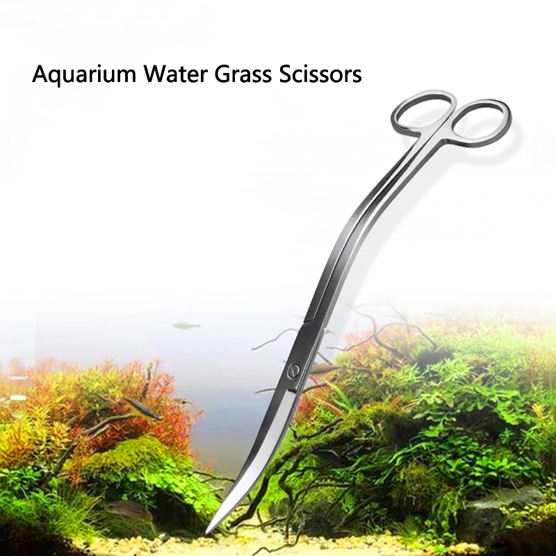24cm ze stali nierdzewnej zakr – Aquarium Plant Grass recenzja i cena