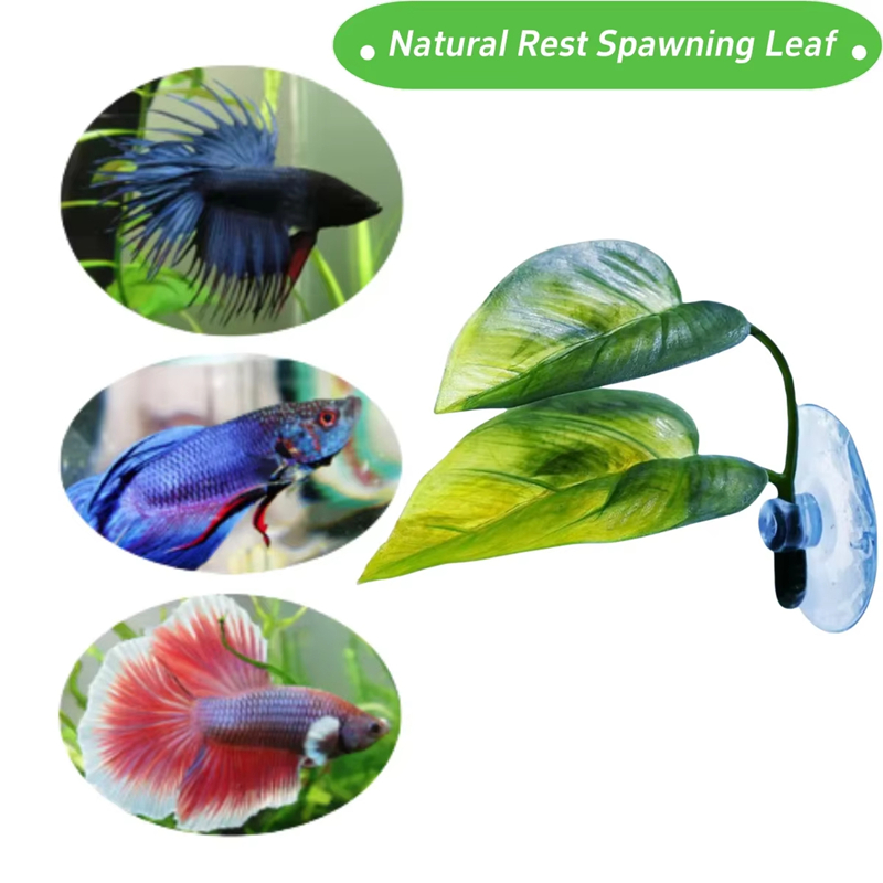 Akcesoria do akwariów, dekorac – Aquarium For Planted Tank recenzja i cena