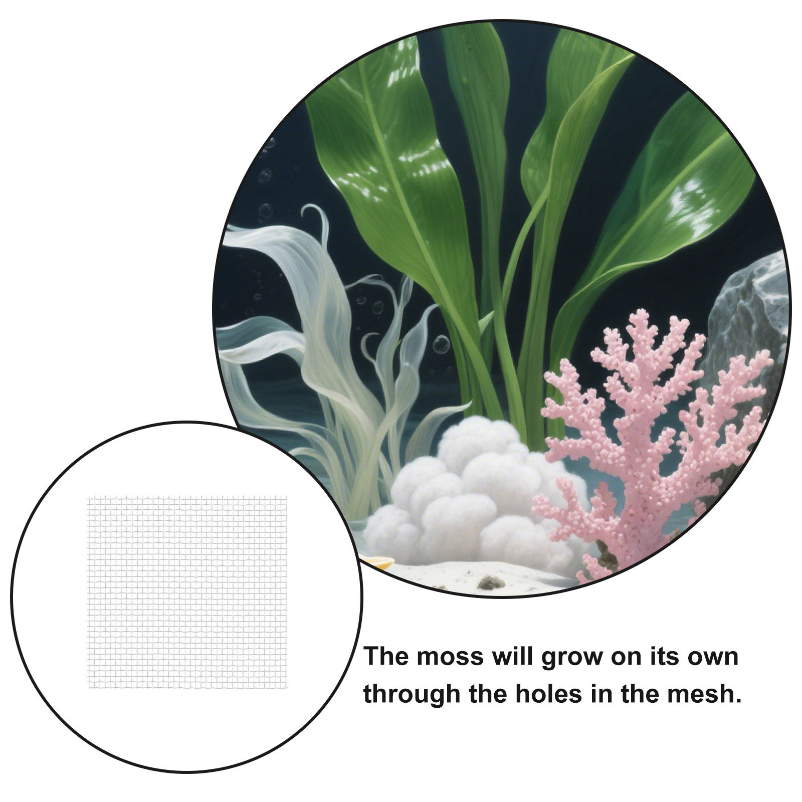12 sztuk siatek z drutu nierdz – Aquarium Planted Set Up recenzja i cena