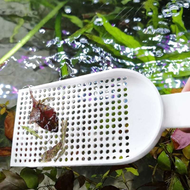 Siatka do usuwania zanieczyszc – Planted Aquarium Equipment recenzja i cena