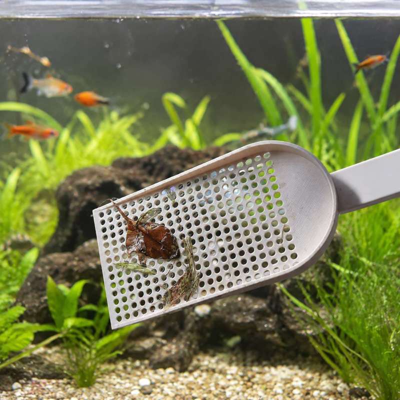 Siatka do usuwania zanieczyszc – Planted Aquarium Equipment recenzja i cena