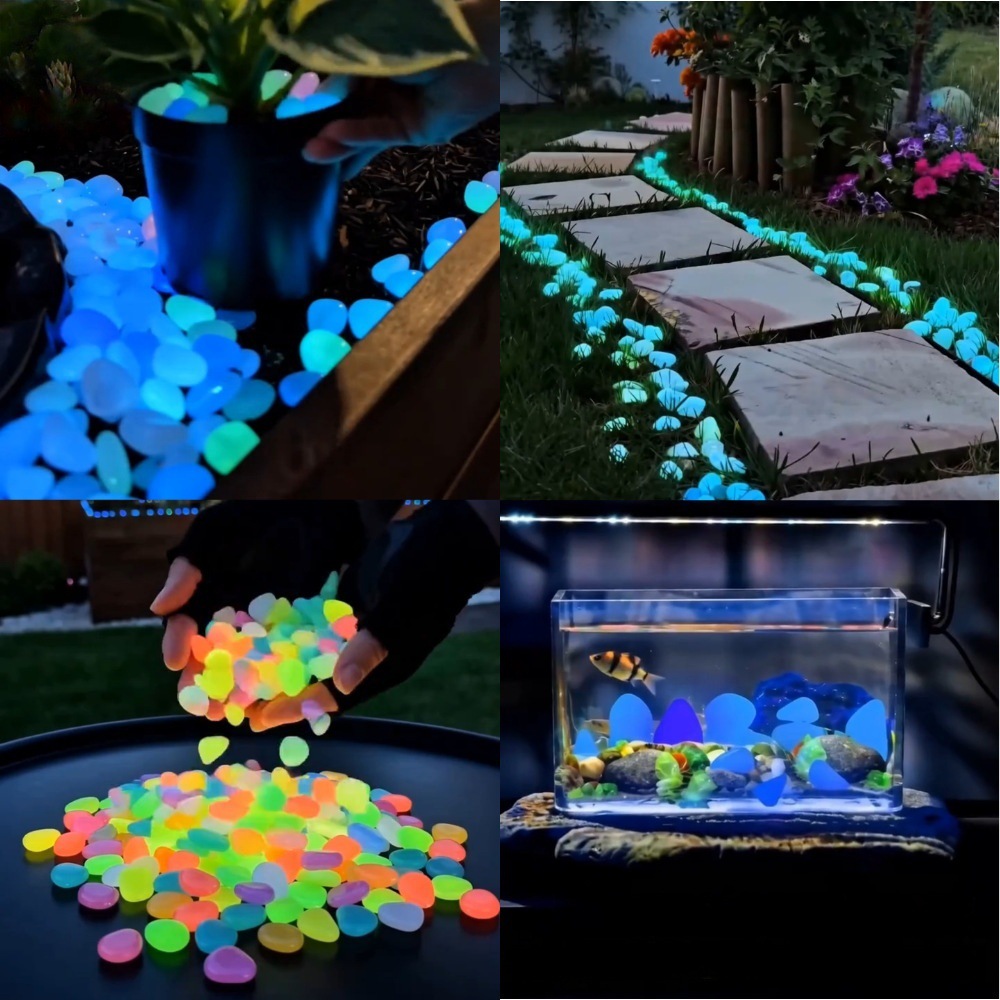 Kolorowe, świecące w ciemności – Aquarium For Planted Tank recenzja i cena