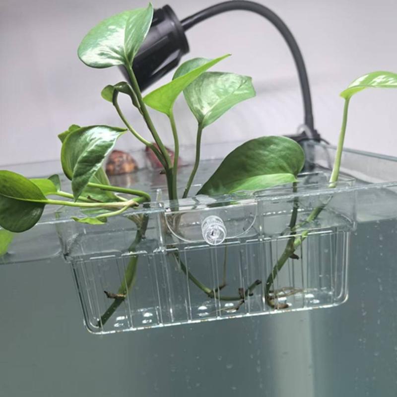 Hydroponiczny koszyk na roślin – Aquarium For Planted Tank recenzja i cena