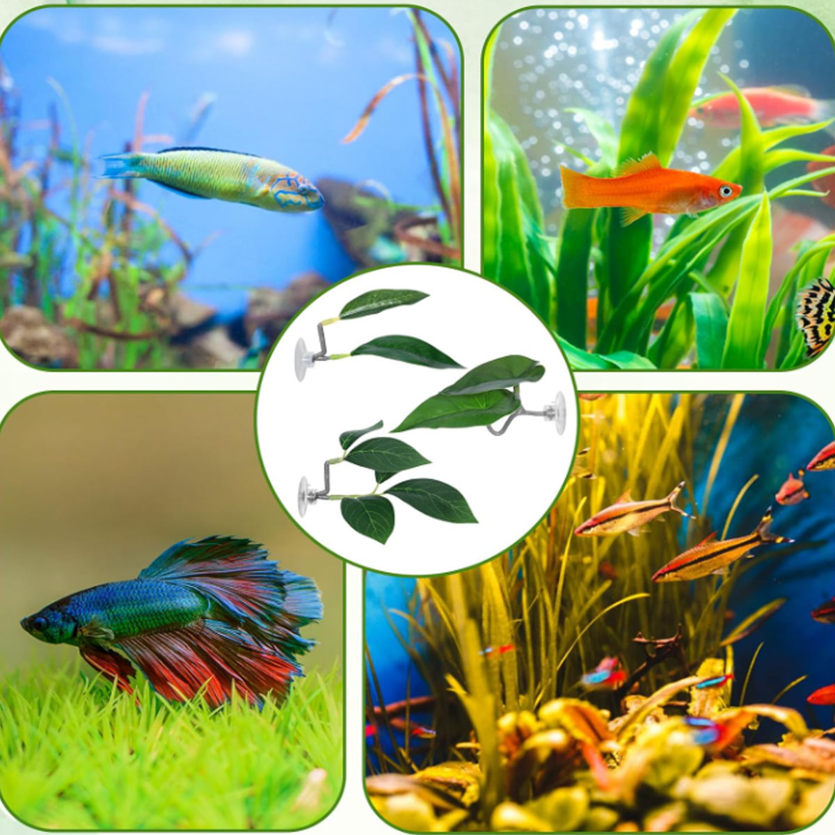 Hamak dla rybki Betta, miękki  – Planted Aquarium Equipment recenzja i cena