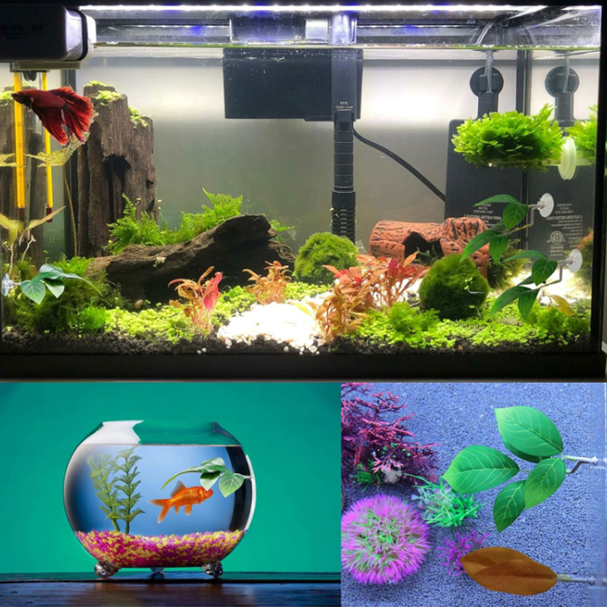 Hamak dla rybki Betta, miękki  – Planted Aquarium Equipment recenzja i cena