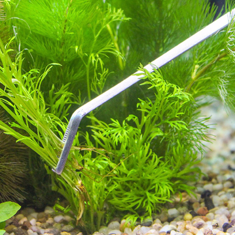 Profesjonalny zestaw narzędzi  – Planted Aquarium Kit recenzja i cena