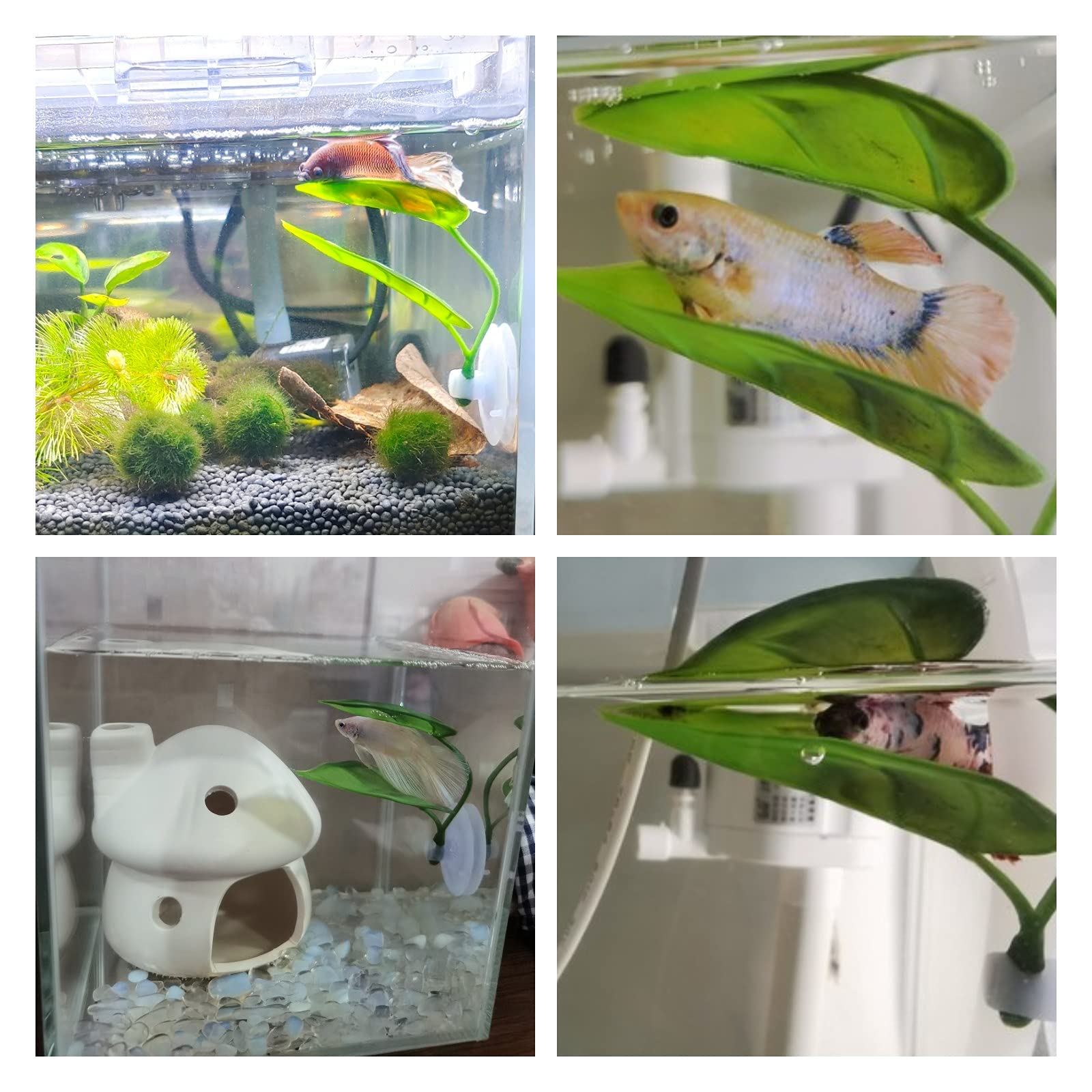 Dekoracje do akwarium dla ryb, – Aquarium Plant Roots recenzja i cena