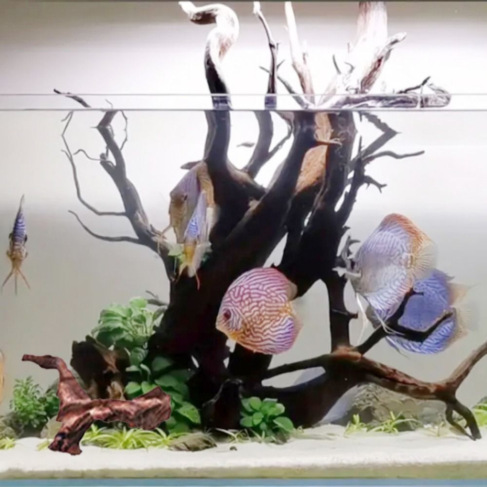 Kreatywne, nieregularne kształ – Aquarium Plant Roots recenzja i cena