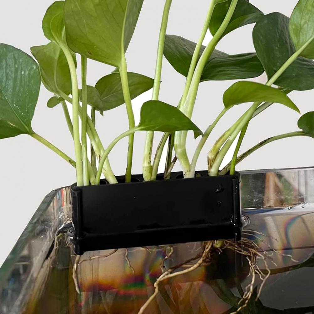 Abs Plant Supports for Aquariu – Aquarium For Planted Tank recenzja i cena