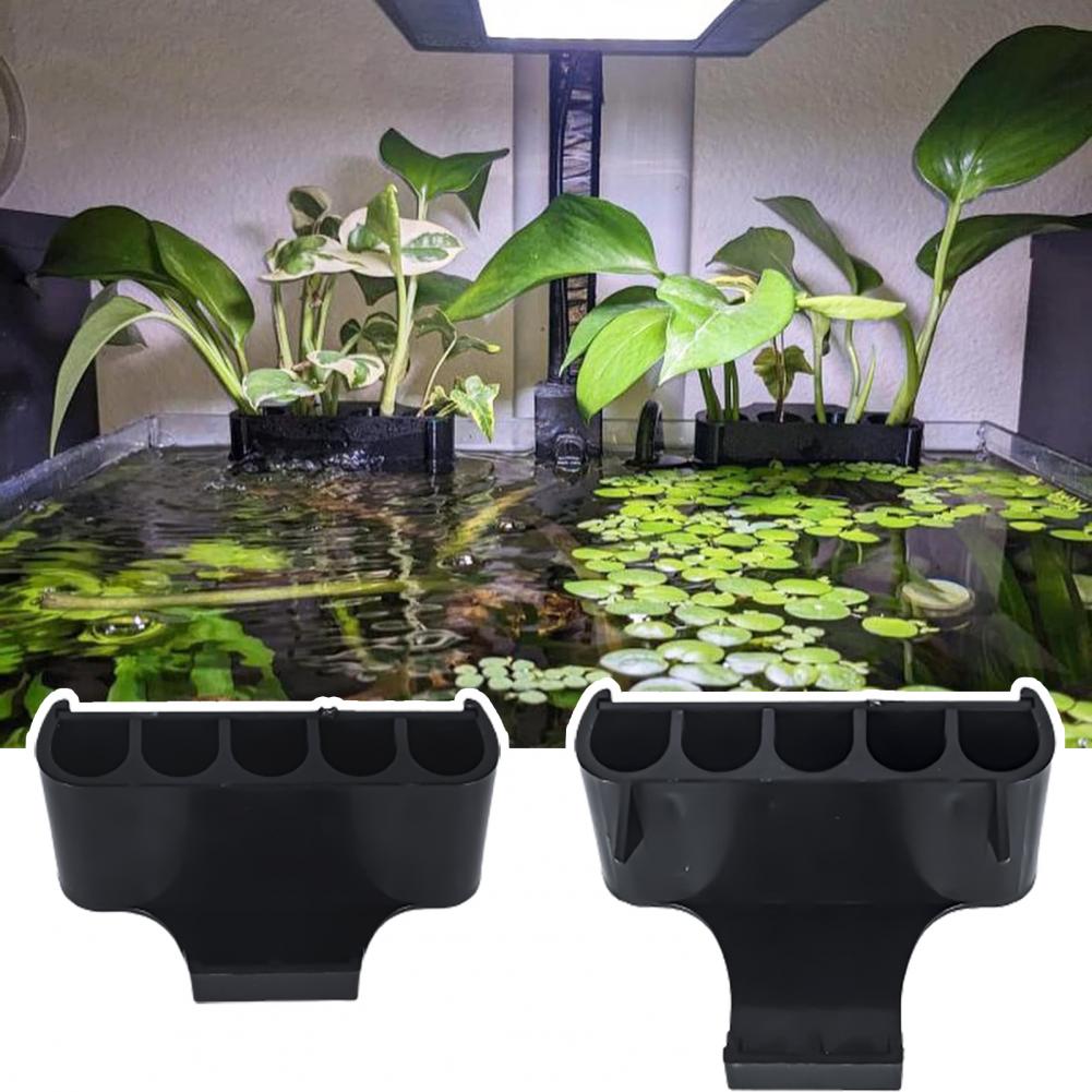 Abs Plant Supports for Aquariu – Aquarium For Planted Tank recenzja i cena