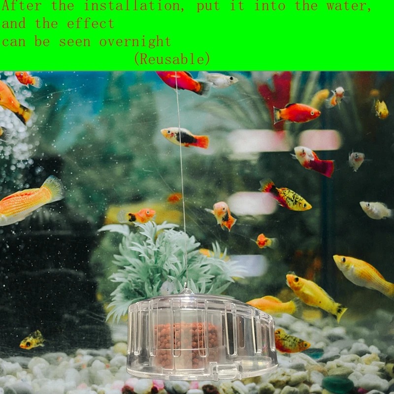 Roślina akwariowa pułapka na ś – Planted Aquarium Equipment recenzja i cena