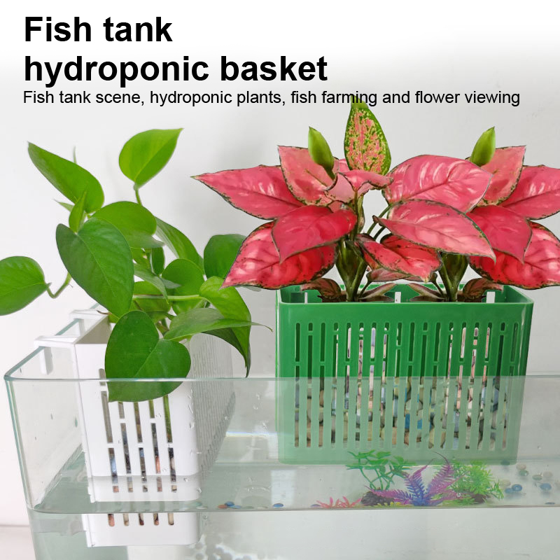 【F】Wiszący pojemnik do akwariu – Aquarium For Planted Tank recenzja i cena