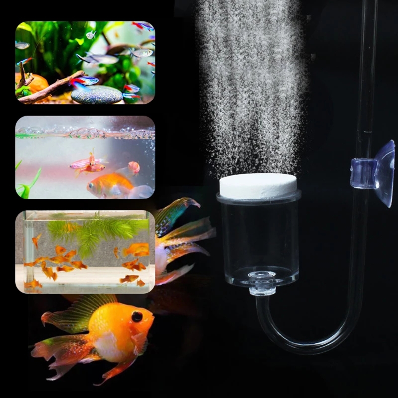 4szt Zestaw DIY Dyfuzor CO2 do – Planted Aquarium Co2 Kit recenzja i cena