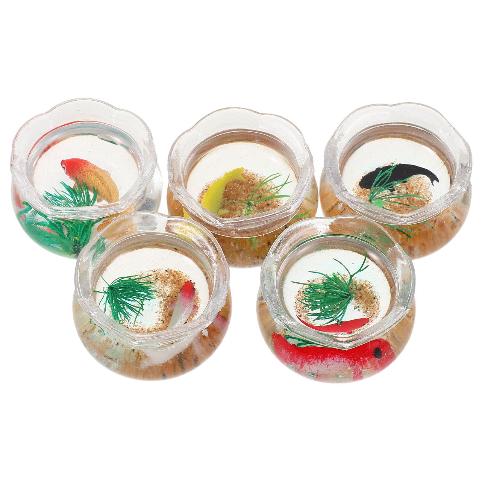 5 szt. Mini miska na ryby, rea – Aquarium For Planted Tank recenzja i cena